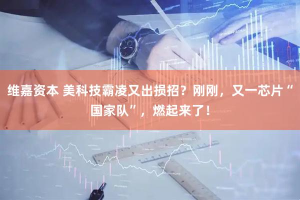 维嘉资本 美科技霸凌又出损招？刚刚，又一芯片“国家队”，燃起来了！