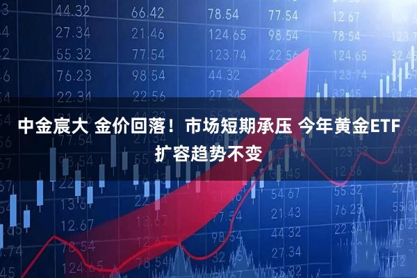 中金宸大 金价回落！市场短期承压 今年黄金ETF扩容趋势不变