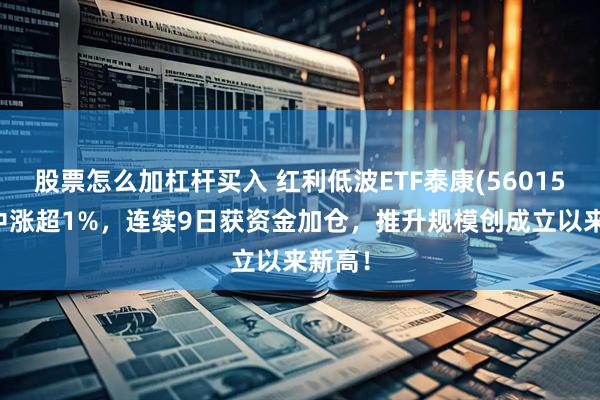 股票怎么加杠杆买入 红利低波ETF泰康(560150)盘中涨超1%,连续9日获资金加仓,推升规模创成立以来新高!