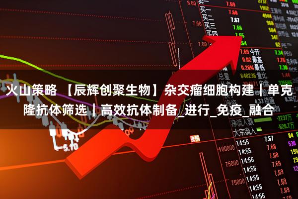 火山策略 【辰辉创聚生物】杂交瘤细胞构建|单克隆抗体筛选|高效抗体制备_进行_免疫_融合