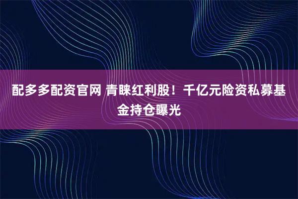 配多多配资官网 青睐红利股！千亿元险资私募基金持仓曝光