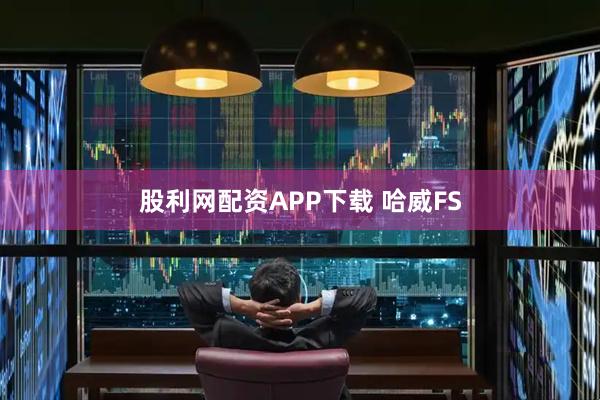 股利网配资APP下载 哈威FS
