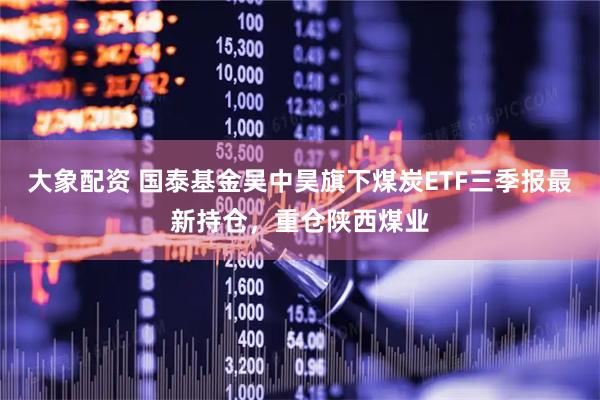 大象配资 国泰基金吴中昊旗下煤炭ETF三季报最新持仓，重仓陕西煤业